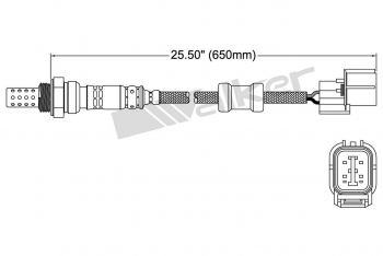 Oxygen Sensor