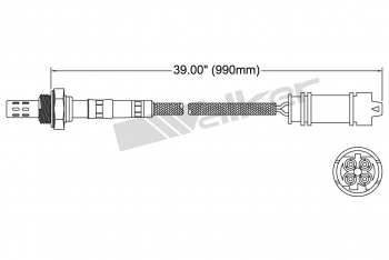 Oxygen Sensor