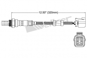 Oxygen Sensor
