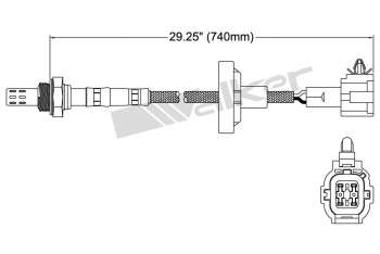 Oxygen Sensor