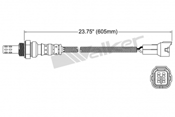 Oxygen Sensor