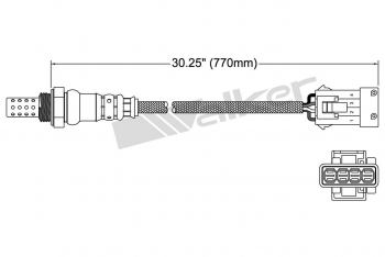 Oxygen Sensor