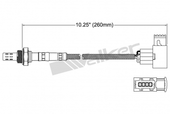 Oxygen Sensor