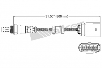 Oxygen Sensor