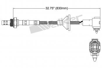 Oxygen Sensor