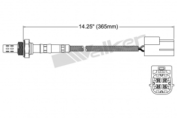 Oxygen Sensor