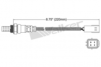 Oxygen Sensor
