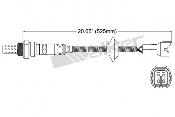 Oxygen Sensor