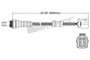 Oxygen Sensor