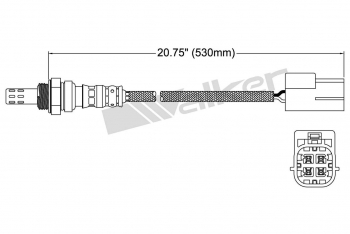 Oxygen Sensor