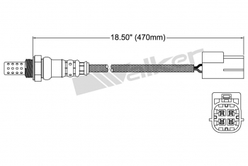 Oxygen Sensor