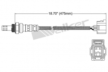 Oxygen Sensor
