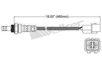 Oxygen Sensor