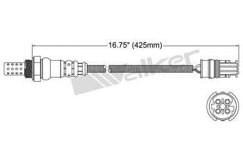Oxygen Sensor