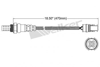 Oxygen Sensor