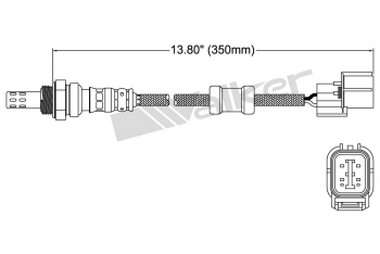 Oxygen Sensor