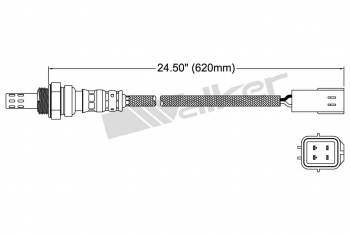 Oxygen Sensor
