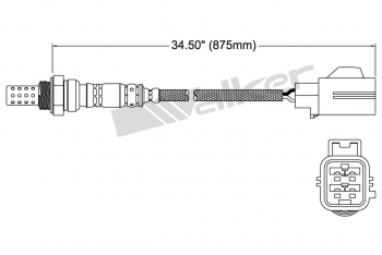 Oxygen Sensor