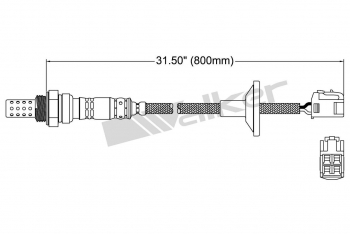 Oxygen Sensor