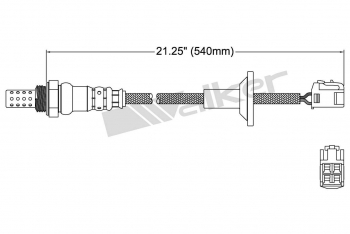Oxygen Sensor