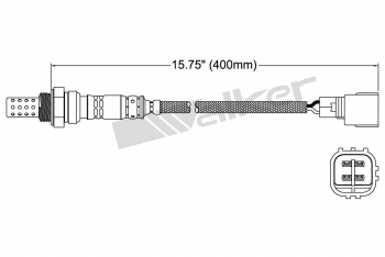 Oxygen Sensor