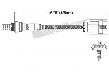 Oxygen Sensor