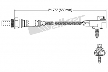 Oxygen Sensor