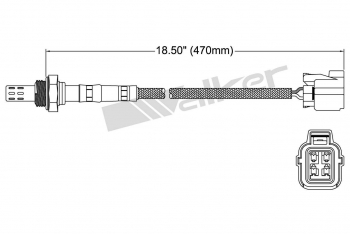Oxygen Sensor
