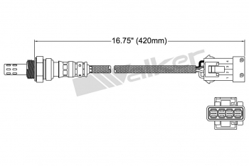Oxygen Sensor