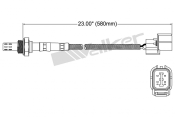 Oxygen Sensor