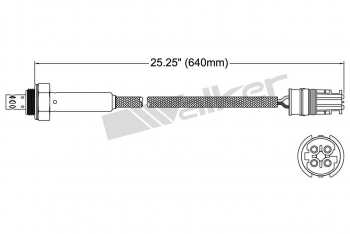 Oxygen Sensor