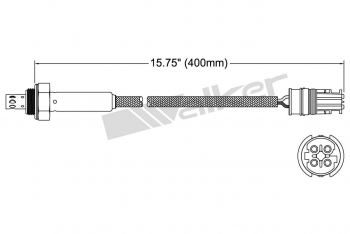 Oxygen Sensor