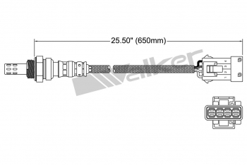 Oxygen Sensor