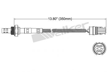 Oxygen Sensor