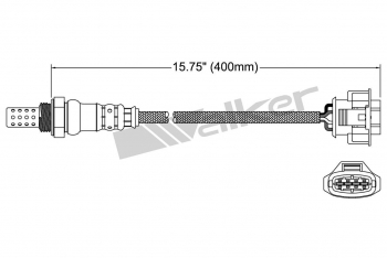 Oxygen Sensor