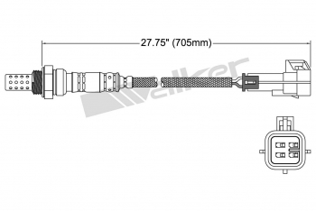 Oxygen Sensor