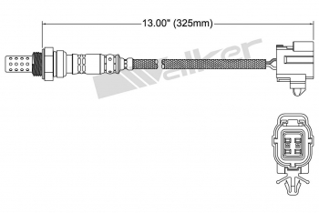 Oxygen Sensor