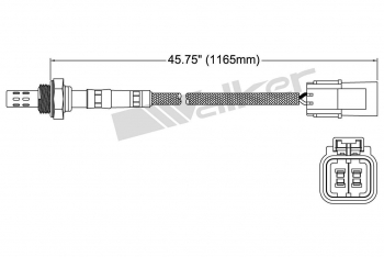 Oxygen Sensor
