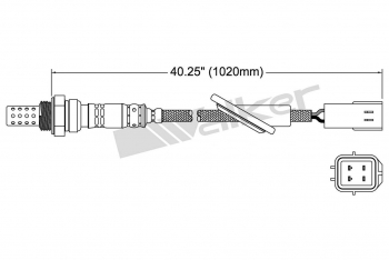 Oxygen Sensor