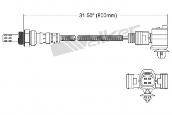 Oxygen Sensor