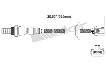 Oxygen Sensor