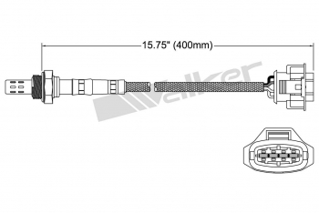 Oxygen Sensor