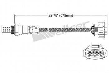 Oxygen Sensor