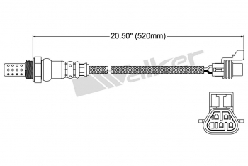 Oxygen Sensor