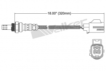 Oxygen Sensor