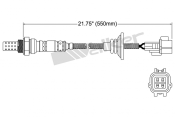Oxygen Sensor