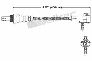 Oxygen Sensor