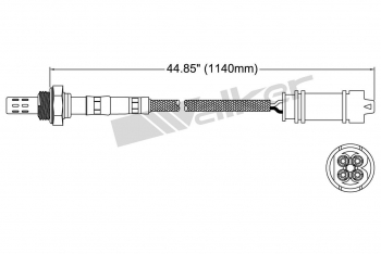 Oxygen Sensor
