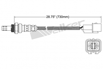 Oxygen Sensor