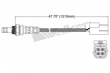 Oxygen Sensor